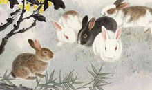 家中有这几个生肖，福入家门，财旺一家，家人富裕更和睦