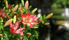 10月最后一周，鸿运袭来，3个生肖，贵人指点，事业步步高升