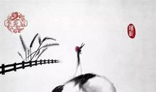 乾坤国宝风水总则