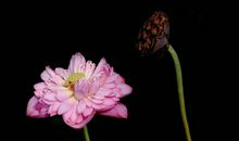 10月29日，运势飚涨，3大生肖，进入赚钱通道，从此钱财不缺