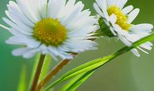 11月中旬贵人四海来，钱财翻倍的赚，以后享尽人间福的3生肖