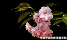 10月30号开始，运势节节高，财运当头，万事如意的3个生肖