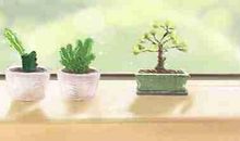 办公室风水植物摆放 怎么摆风水好