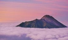 11月来临，往事不纠结，珍惜眼前，让人生尽情绽放的星座