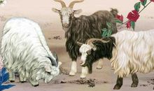 从11月份开始，财运亨通，荷包鼓鼓，一旺到年底生肖，有没有你