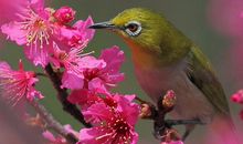 10月25号以后，4属相如沐春风，八方大吉大利，日子舒心又自在