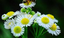 4属相2020年财运大吉，正财大旺，偏财惊喜，业绩喜人，家门兴旺