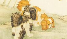 生活展开新画卷，2019年运势腾飞，4属相品尝幸福生活！