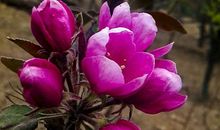 11月4属相财运势不可挡，正财滚滚来，横财哗哗来，富贵唾手可得