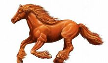 11月上旬好运来临，必有意外之喜的生肖