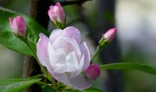 未来一周，4属相迎来更好的横财运势，感情发展顺利，生活甜蜜