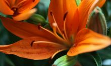 11月运势大幅度提升，腰缠万贯，日子格外顺畅的3大生肖