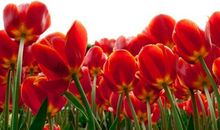 10月过后喜运连绵如山，家中的横财不断入账，4属相生活美满