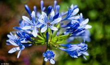 算命的说，3大生肖霉运褪去，11月开始天天发财，富贵挡不住！