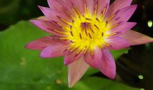 恭喜四大生肖！10月15日起，财运一飞冲天，金银细软堆成山