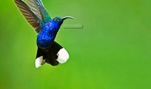 11月开始，鸿运当头照，恭喜3生肖,财富数不清，不缺横财运