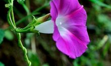 2019年横财大奖大发，日子过得潇洒的生肖，以后必定不缺钱花