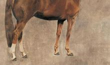 十分命硬的3生肖，如打不倒的小强，历经三灾八难，最终发财致富