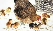 3生肖下个月财运就像狂风骤雨，10月两手空空，11月赚饱赚足