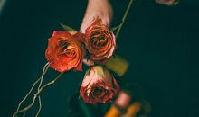 这些生肖无论在处理感情问题时，都非常的果断