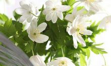 10月底开始福气一直伴随，走到路上都有钱捡的生肖，猪年大吉大利