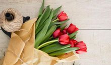 唐绮阳/唐立淇今日运势2019年10月25日