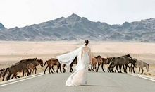 开扒心情不好只会生闷气的生肖，心累