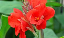 正月初8，初9三大生肖鸿运当头，好运一来来十年，中头彩！