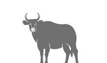 未来2个月好运连绵，事业运解冻，添丁纳福，喜气洋洋的生肖