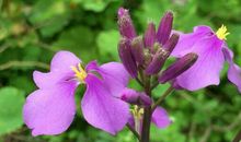 春节前3大生肖事业迈上新台阶，权势猛增，功成名就，财运大涨！