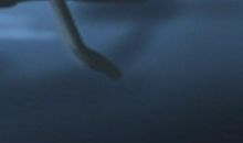 五帝钱挂卫生间怎么挂 五帝钱的风水作用