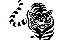 10年属虎人的灾难年龄是几岁