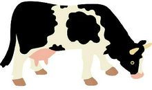 2020年什么生肖有大财