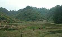 桃胡风水堂：阴宅好坏一看便知，坟地风水知识大全