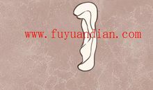 猪耳图片 猪耳面相详解