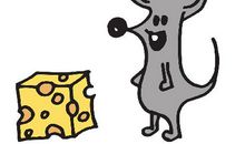 1972年属鼠的40岁以后命运如何