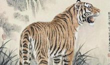 11月开始“虎朋友”撞大运，身价飞涨，喜事多多，注定富得流油