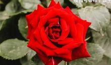 恭喜四生肖赚得盘满钵满，10月22号开始收获喜事不断，财富直线上升!