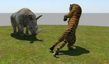 2021年生肖属虎人全年运气