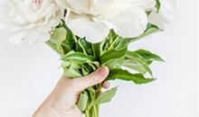 12生肖2019年10月爱情桃花运预测