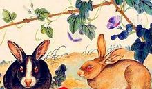 4生肖2019年开始，顺顺发发一整年，运势十分的好