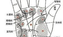 男左手手相含义图解