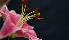 挣大钱幸福满满，3个生肖，10月份下旬，幸运缠绕，财业亨通