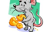 2020年几月份出生的鼠宝宝最好