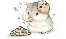 08年属鼠人未来什么时候起大运