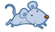 鼠年闰四月生孩子好吗