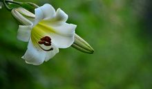 财富躲不过，10月底有贵人相助的3生肖，大发财富事业顺风顺水