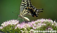 七天之后好运突降，4属相有福有财有好运，双喜临门，洪福无边