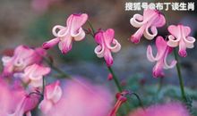 恭喜四生肖横财一飞冲天，10月22号开始贵人找上门，富贵日子挡不住！