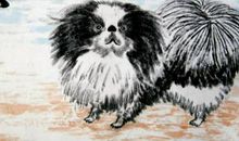 1970年属狗的人2019年运势详解